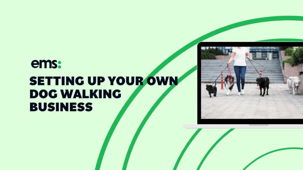 setting up your own dog walking business