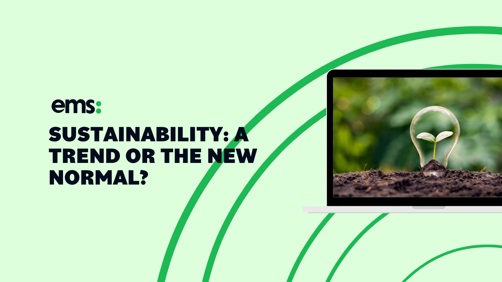 Sustainability: A Trend Or The New Normal? cover